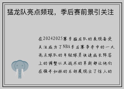 猛龙队亮点频现，季后赛前景引关注